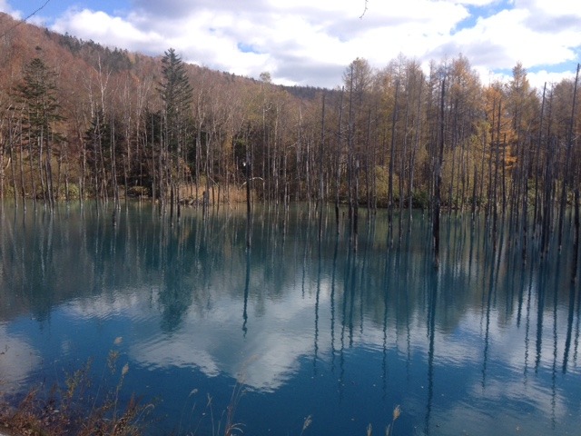 青い池　絶景