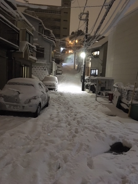雪 横浜リライト