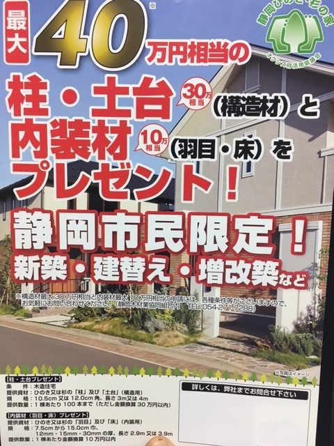 静岡市民限定 パンフレット