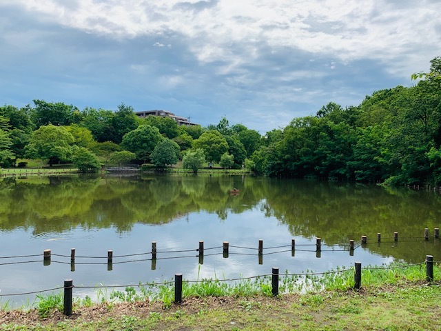 横浜市 公園 池