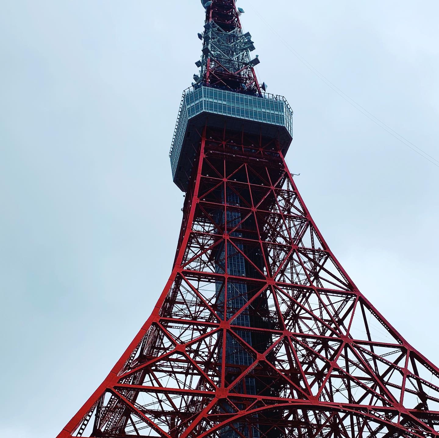 妻の誕生日 東京タワー
