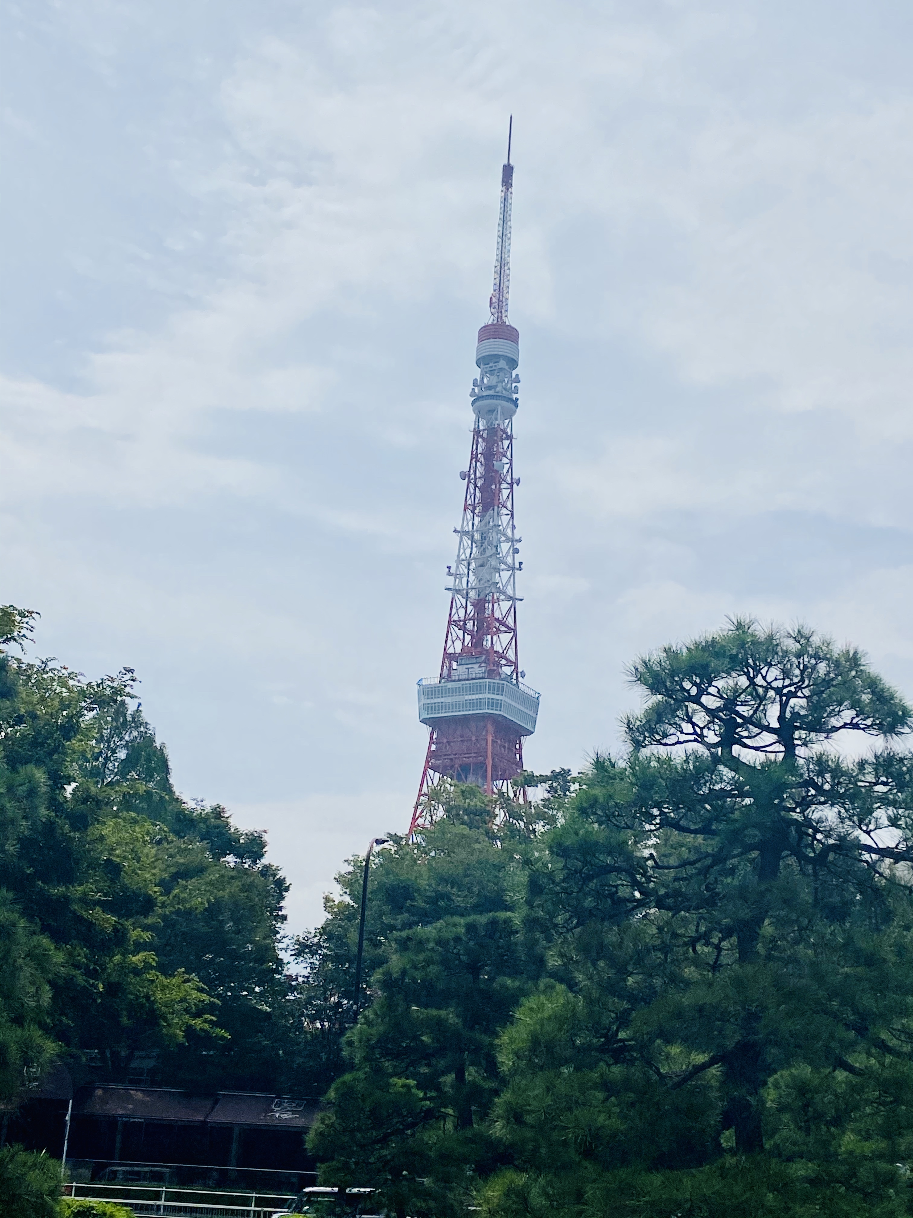港区役所　東京タワー
