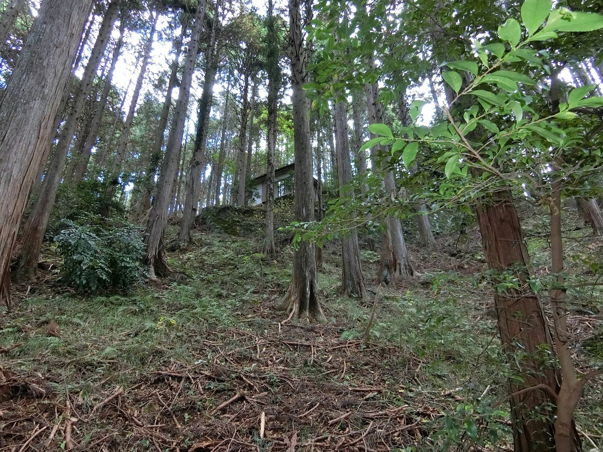 別荘地の土地　売却