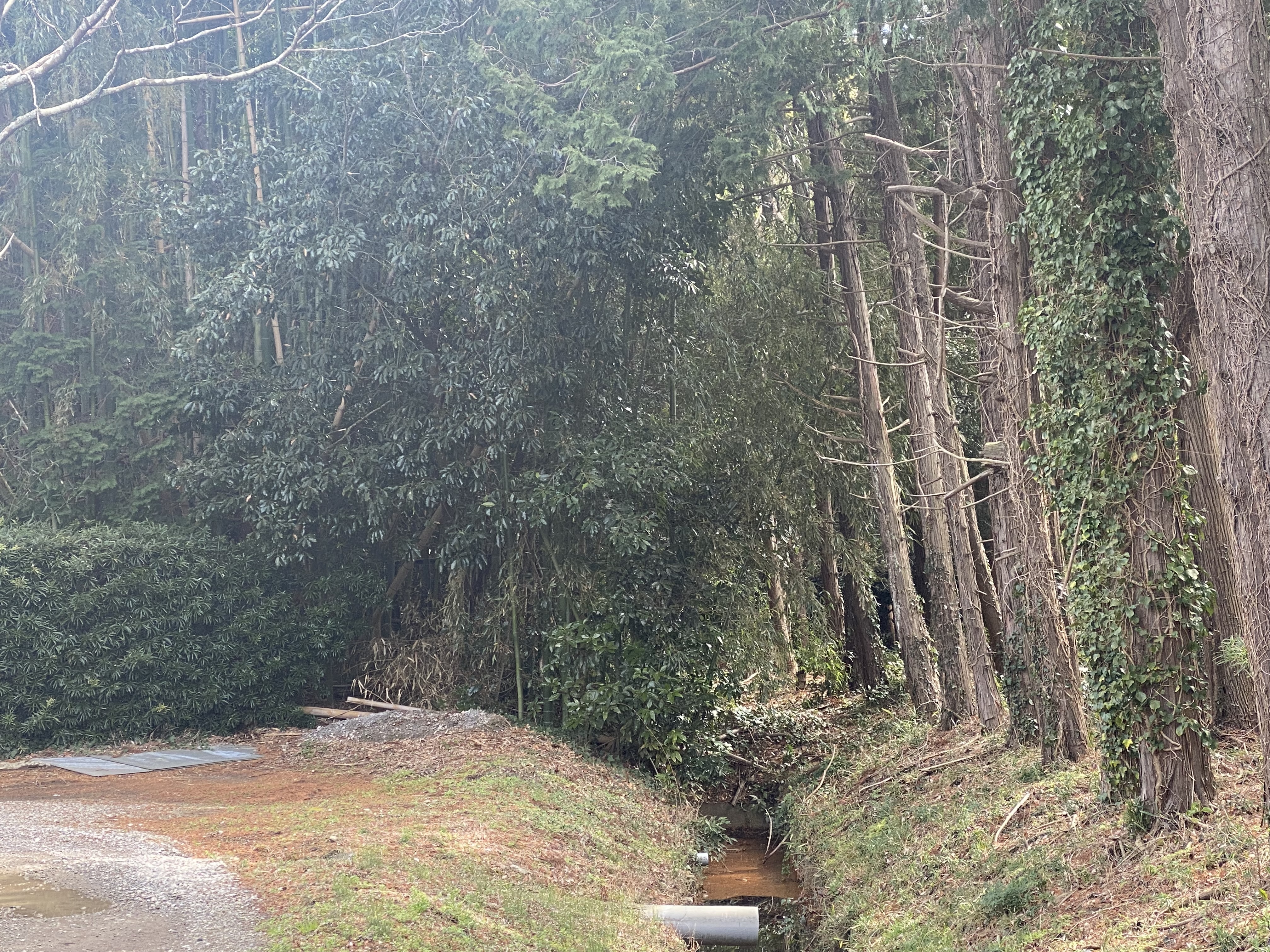 土地いらない 道がない