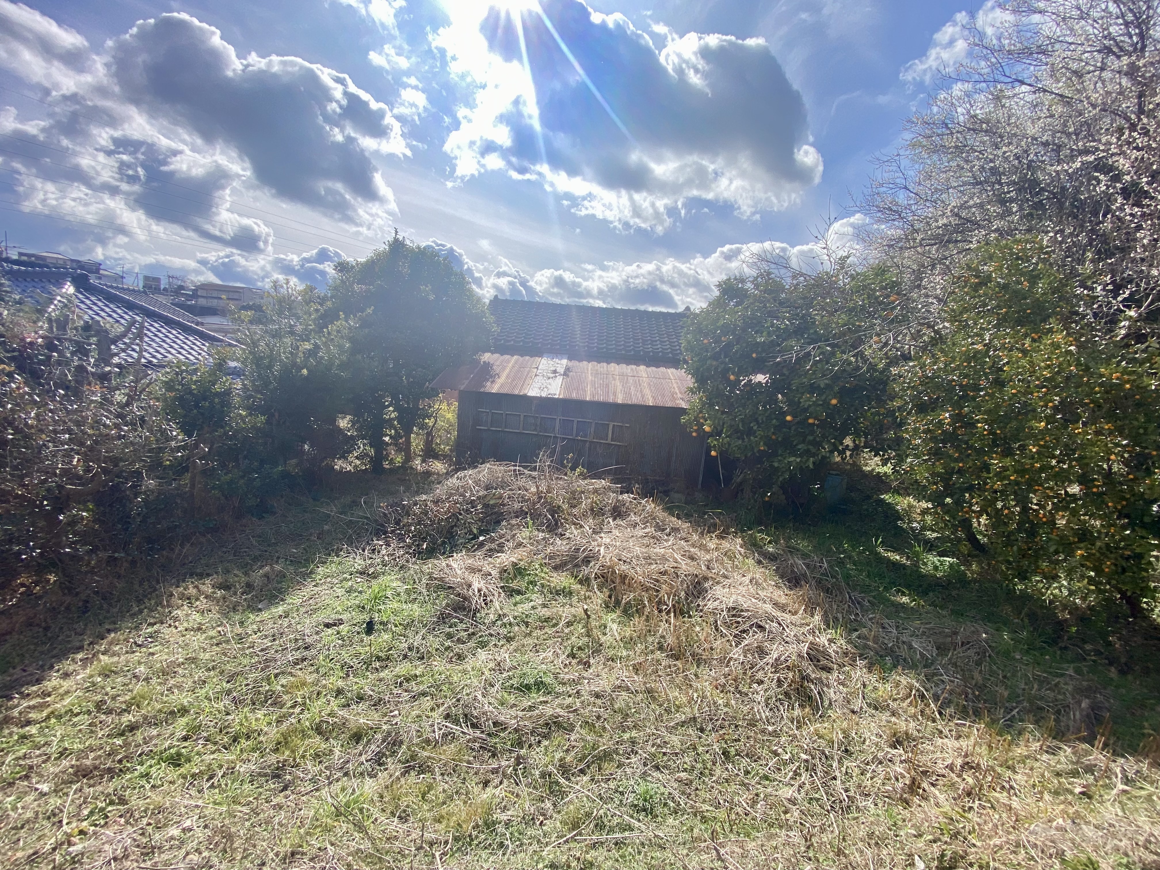 田舎の土地　処分