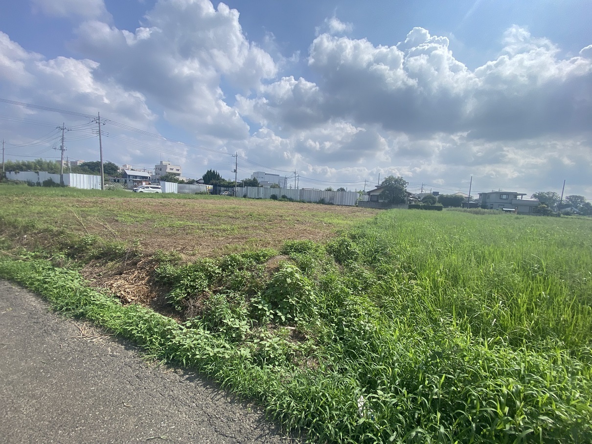 耕作放棄地 再生